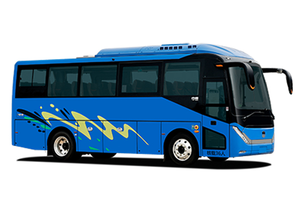  6829H Coach (Spring) 